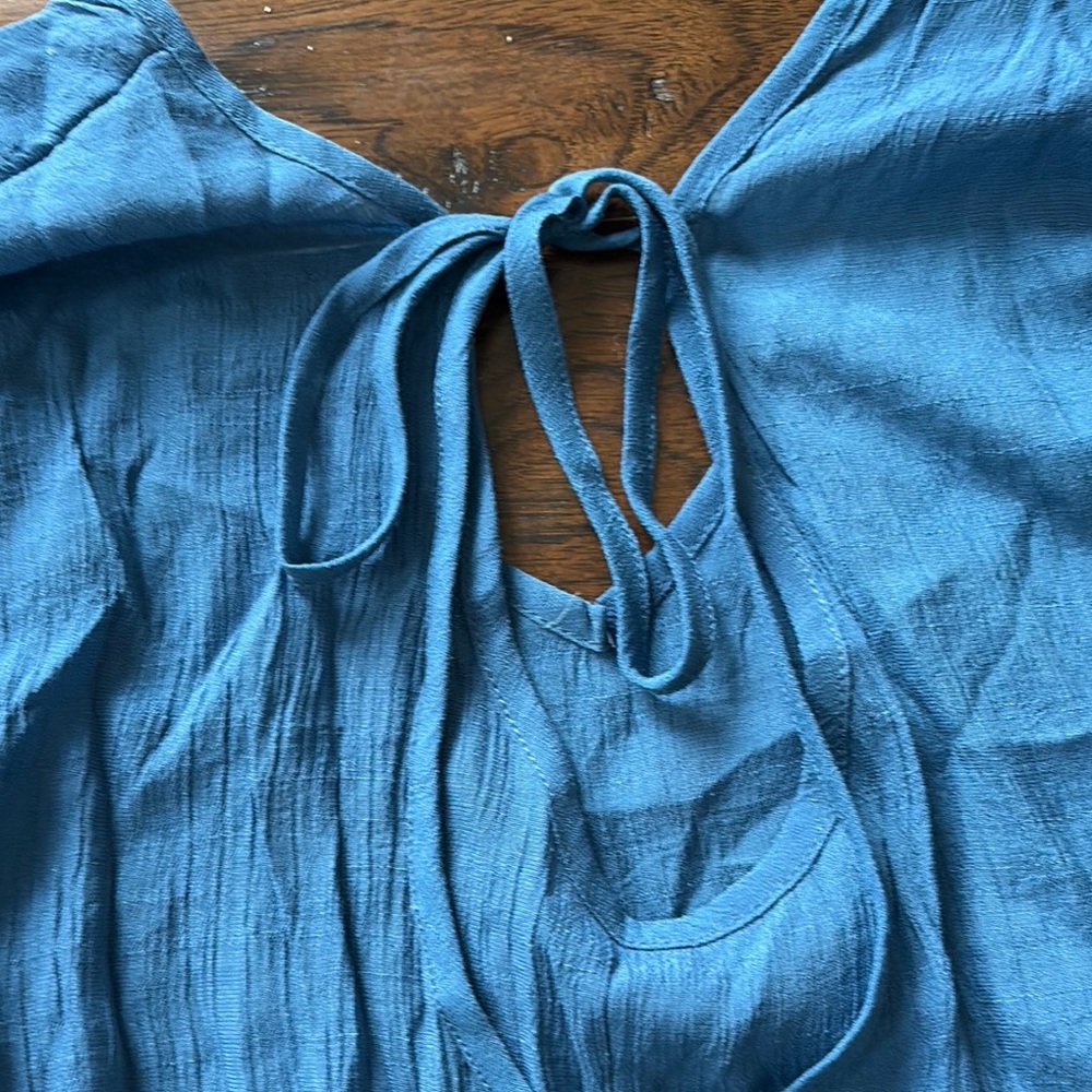 Blue Ruffle Sleeve Dress - Picture 5 of 5